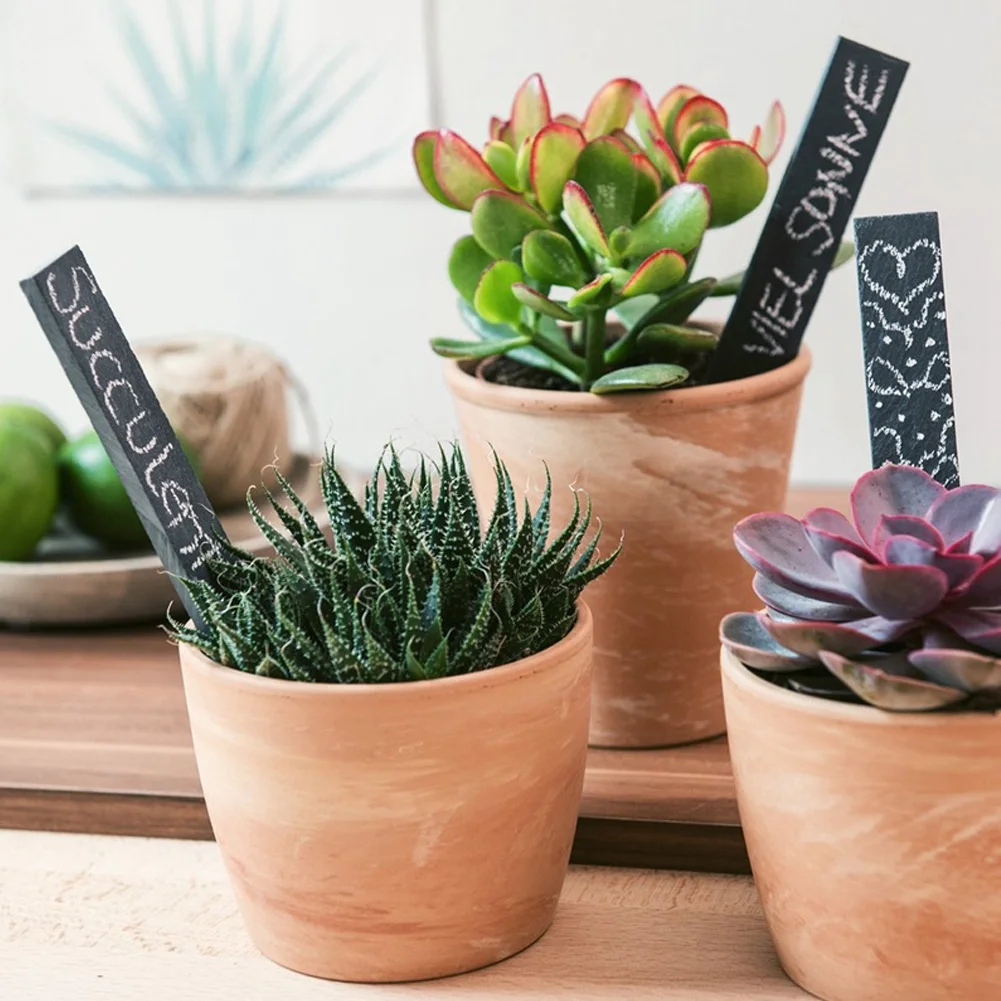 

10PCS Plant Tags Slate Plant Plugs Plant Sticky Label Garden Flower Pot Plant Signs Greenhouse Herb Markers Plants Ornaments New