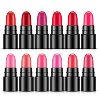 12pcsset lipsticks long lasting mini lipstick lip gloss cream moisturizing beauty lip stick sexy color fashion lip makeup