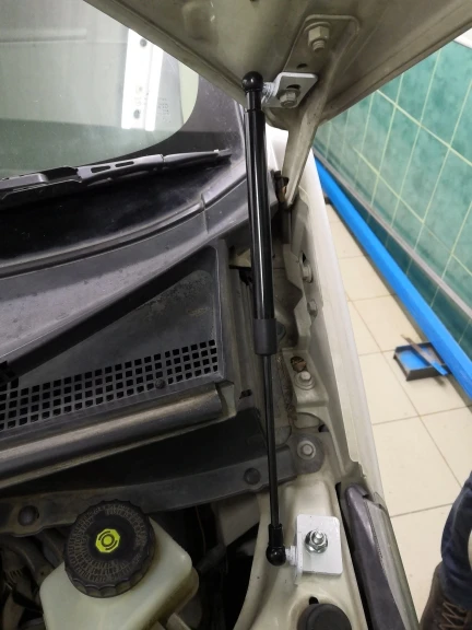 for Mitsubishi Delica 2007-2021 D:5 Front Hood Bonnet Modify Gas Struts Shock Carbon Fiber Spring Damper Lift Supports Absorber |