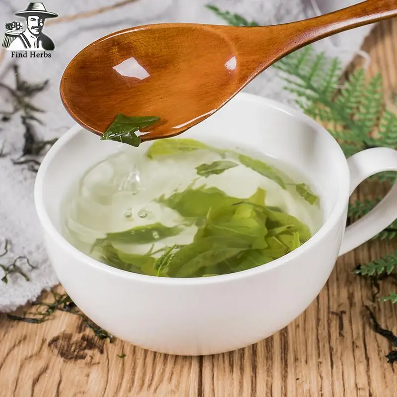 

Holly Leaf, Folium Llicis Latifoliae, Chinese Holly Leaf Tea Ku Ding Cha