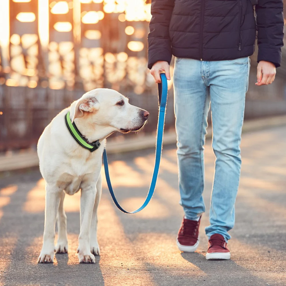 Солнечный и USB Перезаряжаемый светодиодный собачий ошейник нейлоновый