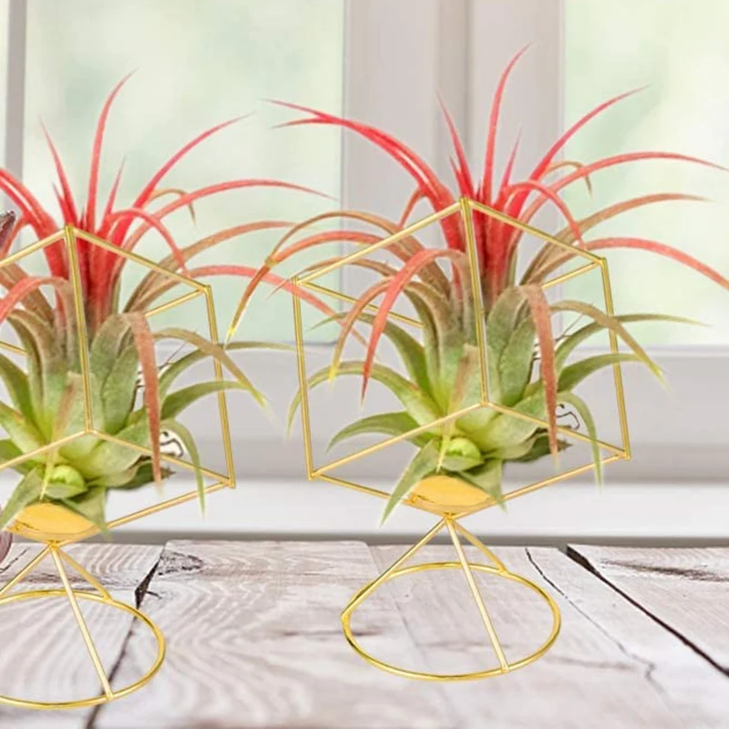 

2 Pack Air Plant Holder Tillandsia Air Plants Stand Hanging Containers Display Racks for Gift Idea