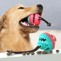 dog treat ball dog food dispensing teeth cleaning chew toy