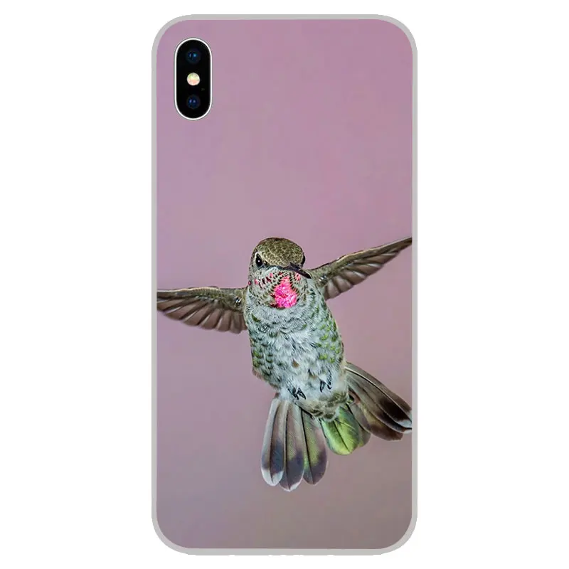 Силиконовые мягкие чехлы из ТПУ Колибри для iPhone 11 Pro XS Max X XR 8 7 6S Plus 5s SE 4S