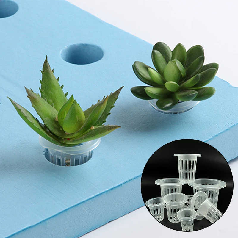 

10pcs Hydroponic Mesh Pot Vegetable Planting Basket Soilless Cultivation Plastic Plant Rooter Cup Aquarium Plant Cultivate Pots