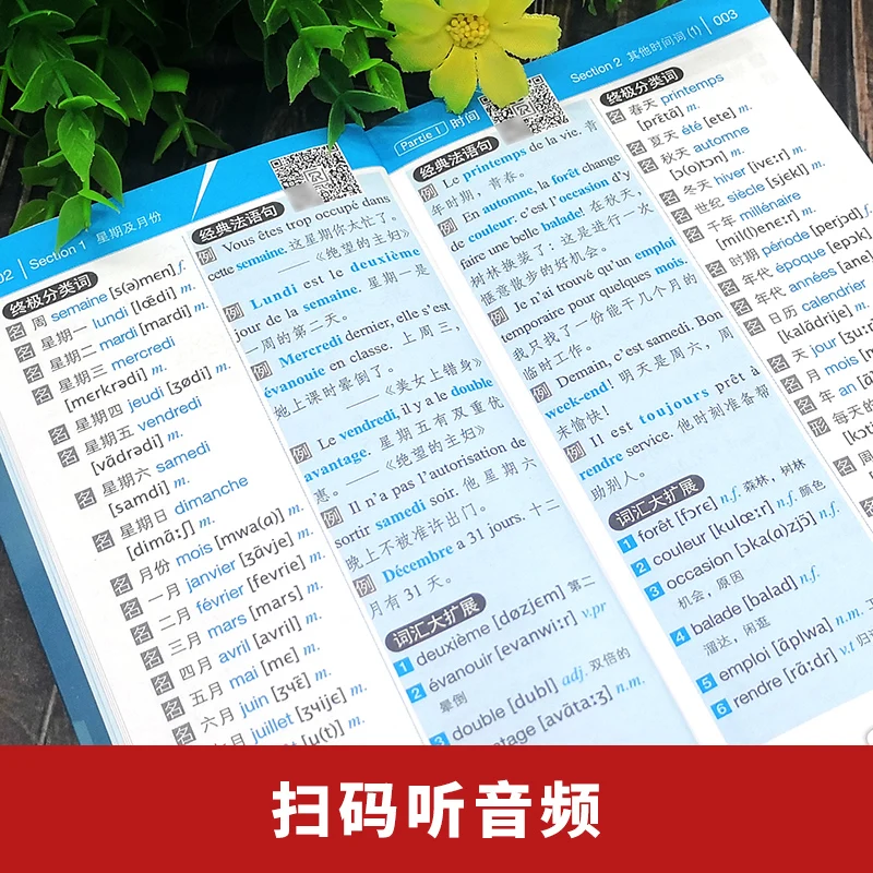 Новый простой в освоении 15000 слов книга на французском языке для начинающих