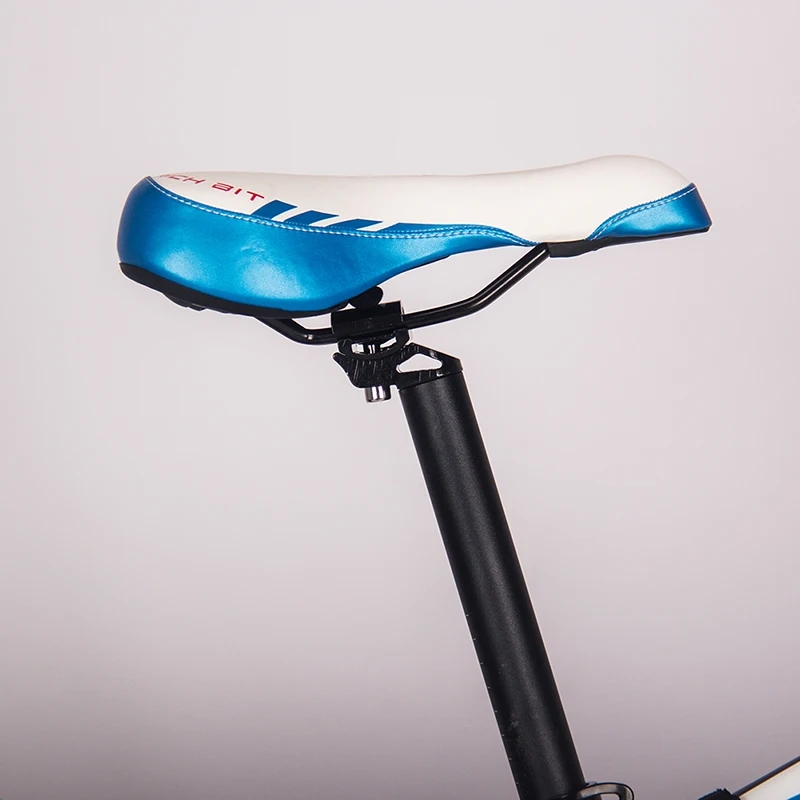 [EU Direct] RICHBIT Electric Bike TOP-022 48V 1000W 17Ah 21-Speed Mountain Snow Fat Sturdy Tires 26inch Bicycle-Blue | Спорт и