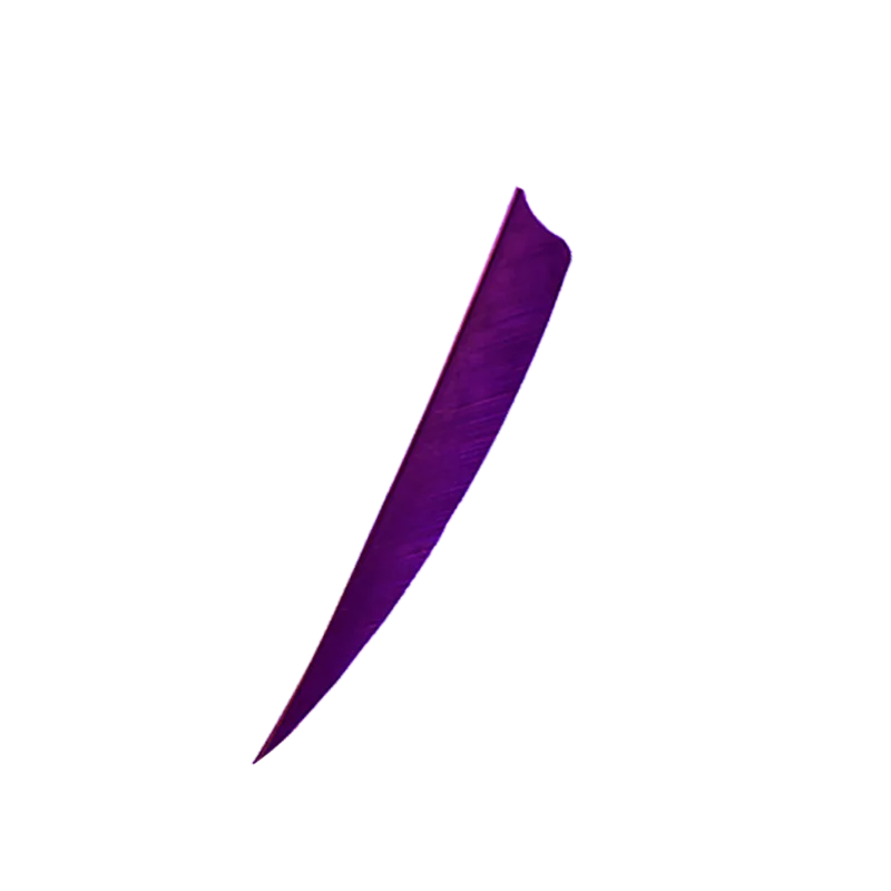 Стрелы для стрельбы из лука с пером 5 &quot насадки перьев индейки натуральные