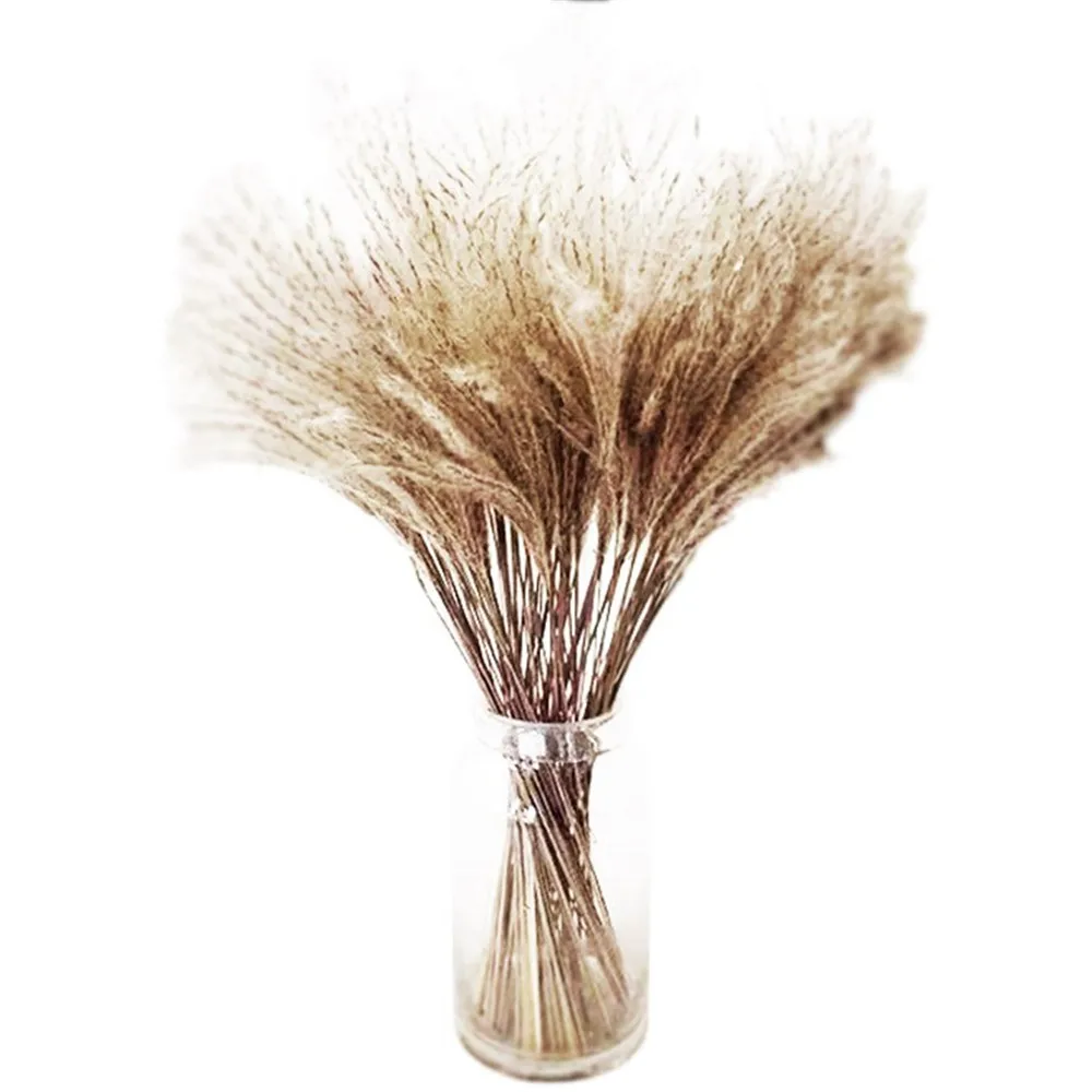 Pampas трава Рождественский Декор настоящая pampas 50 шт. reed натуральный сушеный