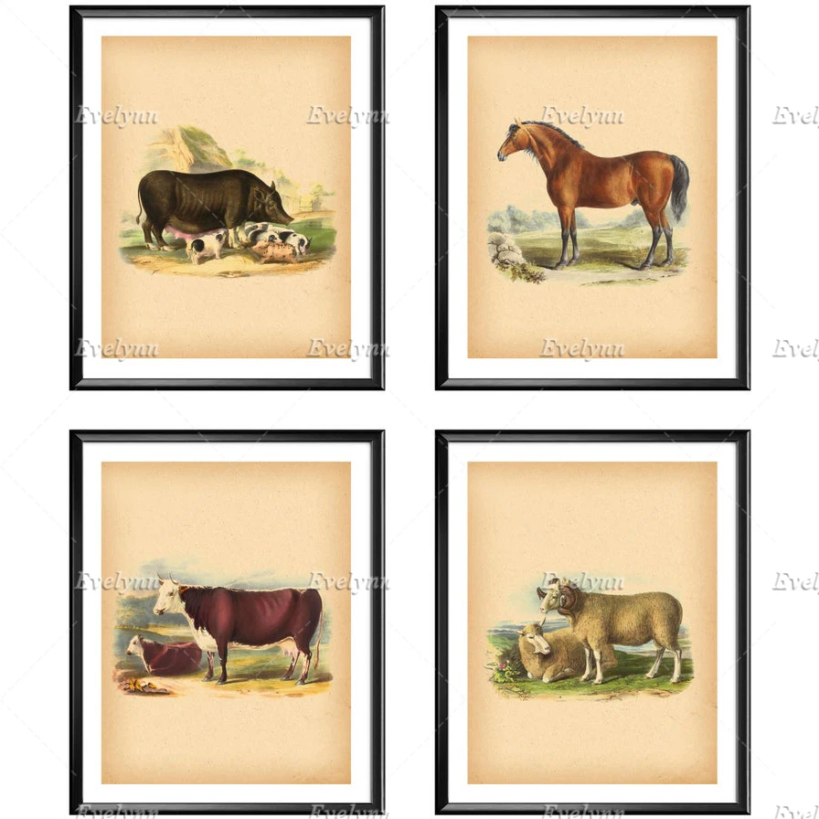 Винтажный постер с животными на ферме декор для фермерского дома деревенские