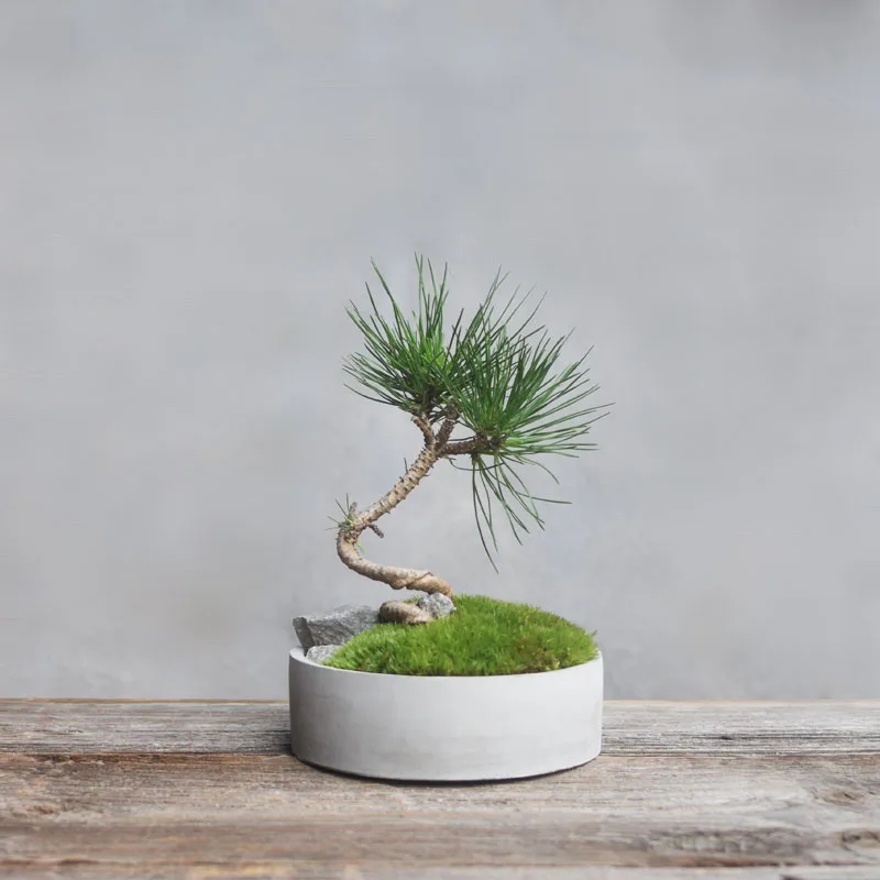 

Cement pots of cement multi flower pots creative desktop Decoration mold Geometric design for cement flowerpot silicone molds