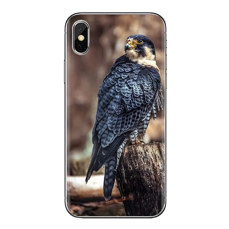 Peregrine Falcon fastest animal Birds For iPod Touch Apple iPhone 4 4S 5 5S SE 5C 6 6S 7 8 X XR XS Plus MAX Silicone Cases Cover |