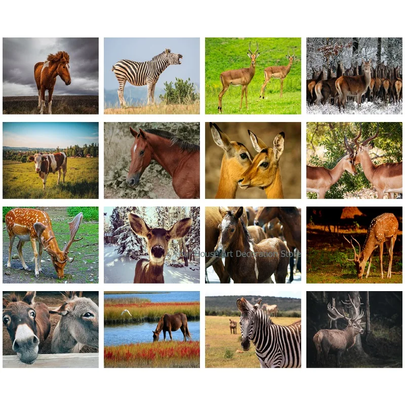 Алмазная живопись сделай сам животные лошадь зебра осел 5D полноразмерная