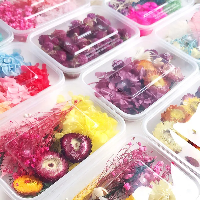 

1Box Dried Plants Mixed Real Dried Flowers Pendant Necklace DIY Accessories Jewelry Making Craft