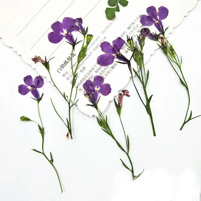 Голубой цветок на стеблях Lobelia 1 пакет/120 шт. для рукоделия оптовая продажа