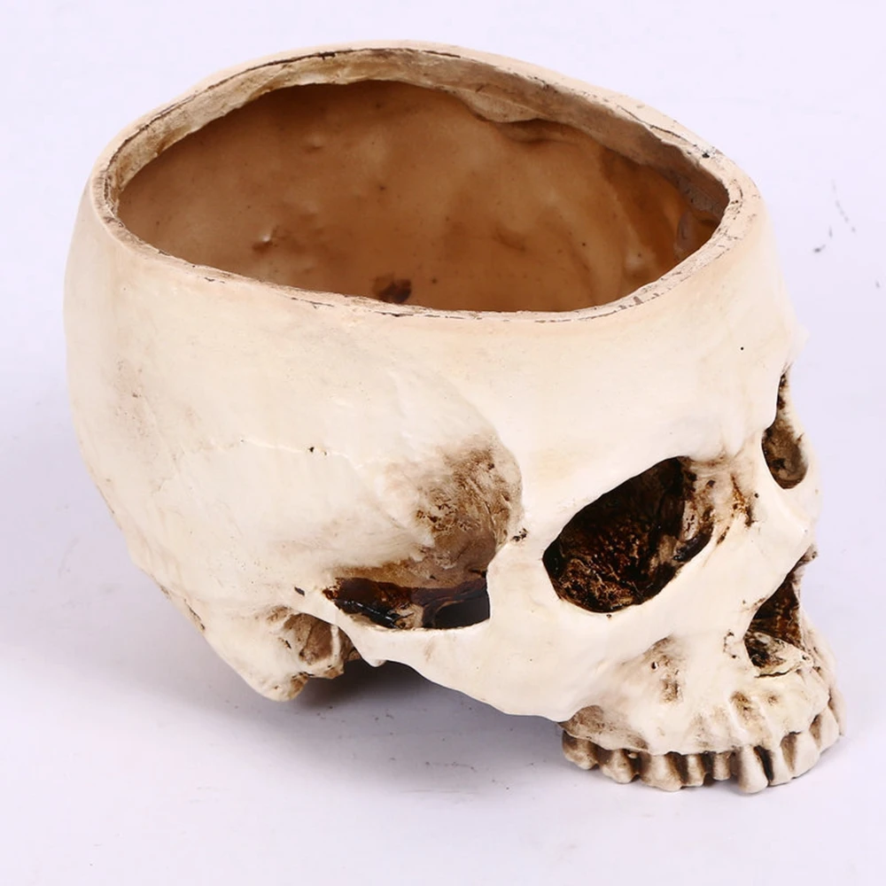 

Waylike Halloween Human Skull Head Prop Halloween Style Prop Home Party Decor Halloween Props Bar Coffee Haunted House Decors