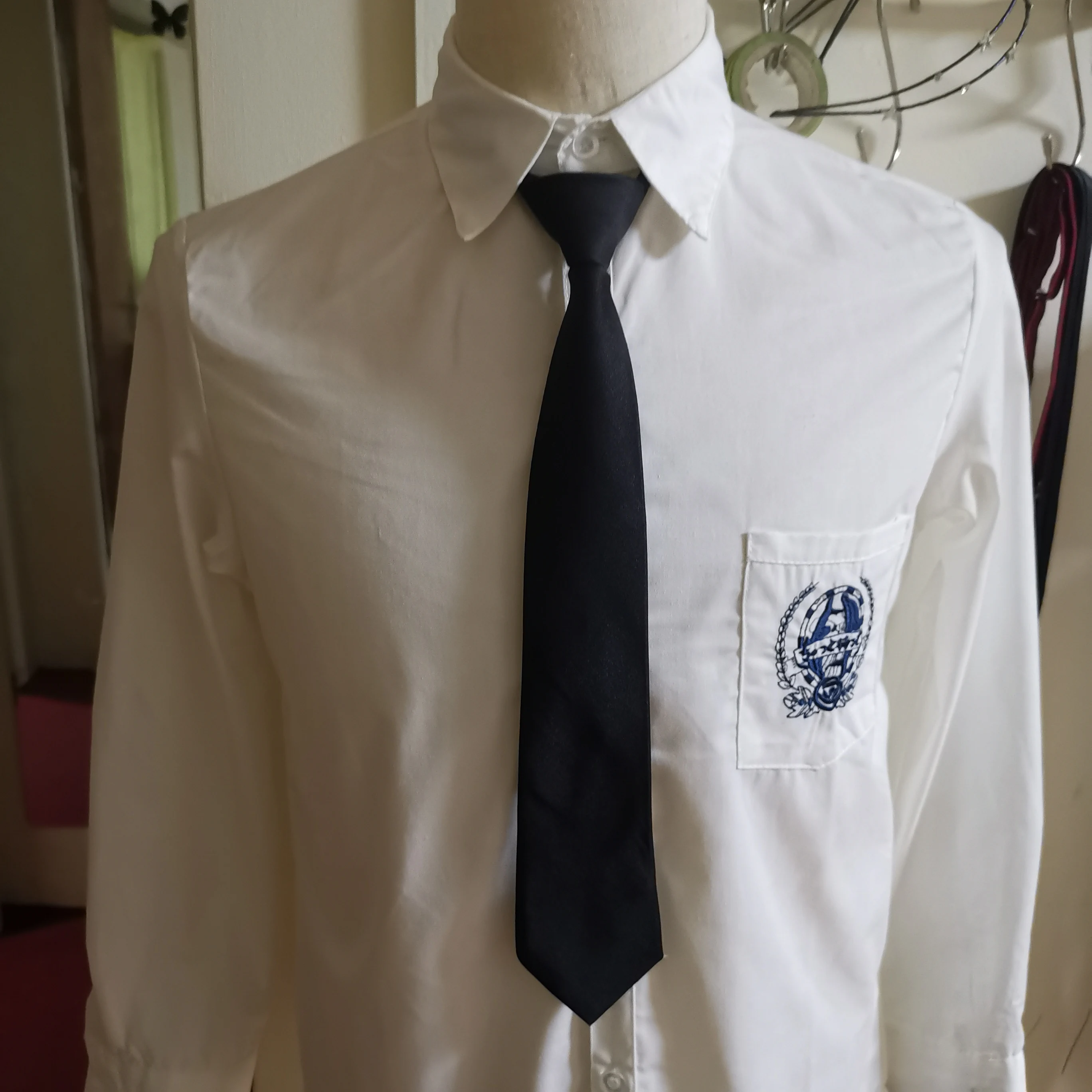 [Застежка молния без блокировки] застежка в Корейском стиле ленивый галстук JK