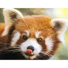 Алмазная 5d-картина Ailurus fulgensred pandas, картина с полными квадратнымикруглыми стразами, вышивка крестиком, мозаика для домашнего декора, подарок