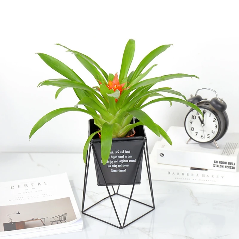

Metal Plant Stand with Iron Flower Rack Modern Combination Indoor Outdoor Display Flower Holder for Garden Home Yard