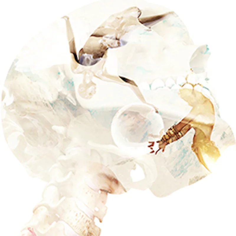 Призрачная карта (гиммики и онлайн инструкции) от Fraser Parker Card Magic Tricks Illusions Street для