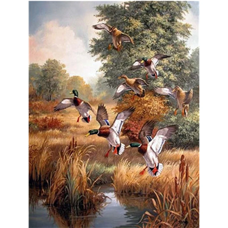 DIY картинки для раскраски по номерам с цветами фотографии птиц Рисование рамкой