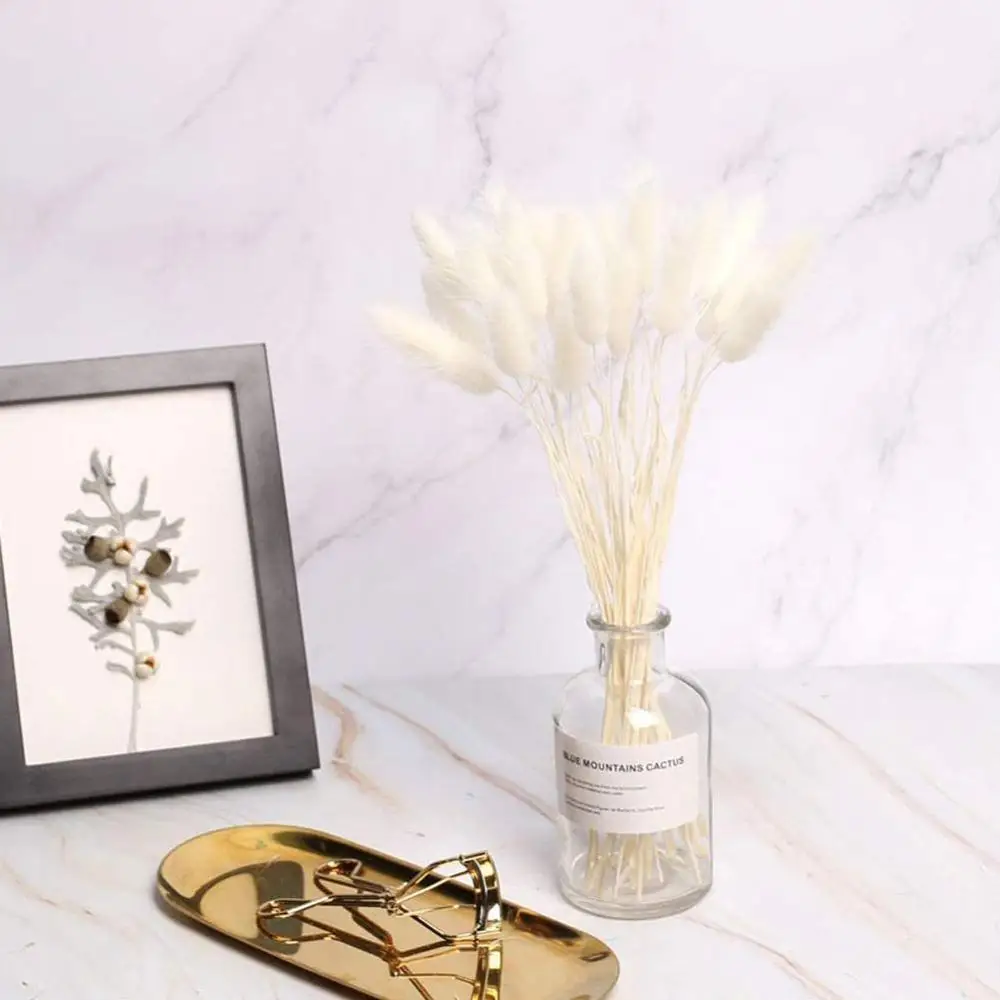 30 стеблей сушеный цветок Кролик хвост натуральные растения Цветочный трава
