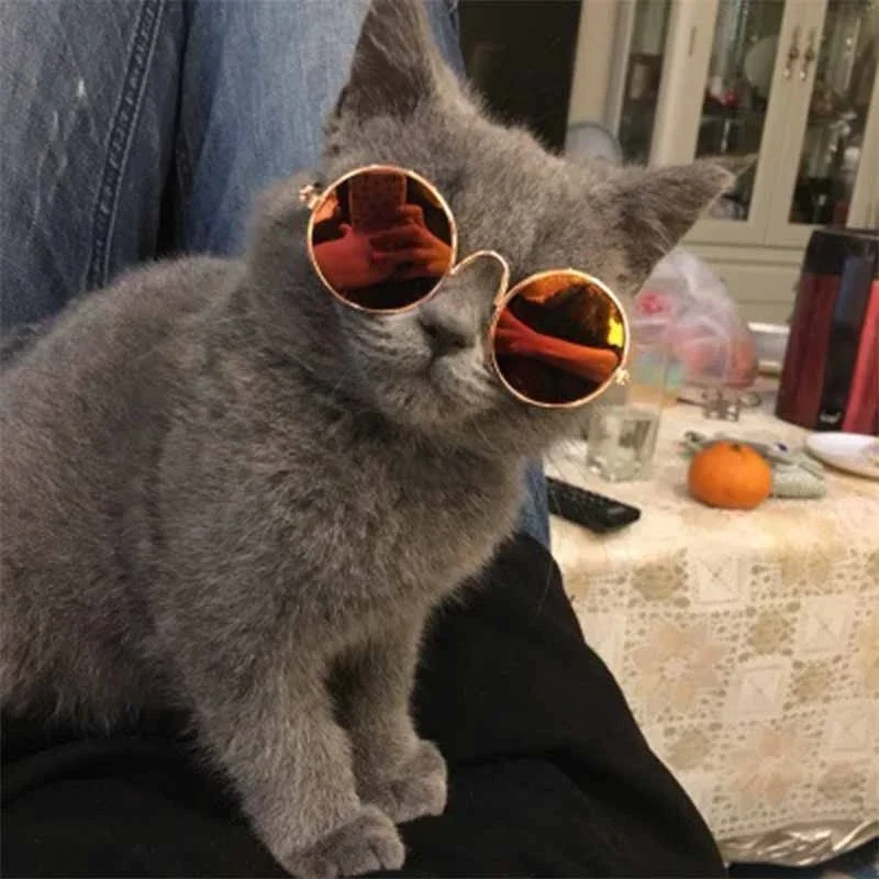 

Pet Products Lovely Vintage Round Cat Sunglasses Reflection Eye wear glasses For Small Dog Cat Pet Photos Props Accessories