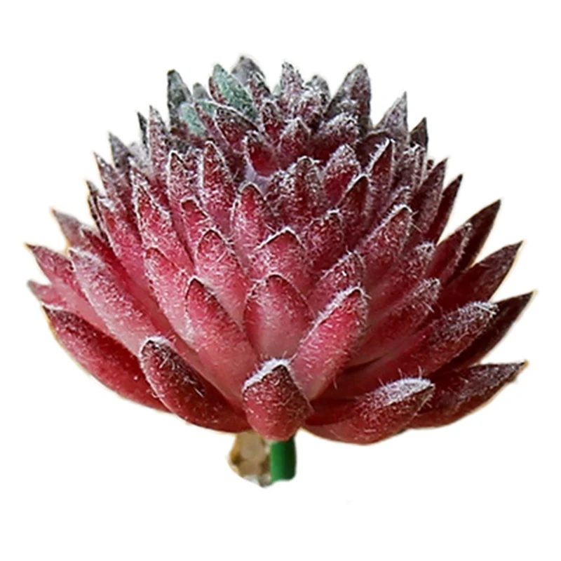 Искусственные растения-суккуленты искусственные растения алоэ кактус пейзаж