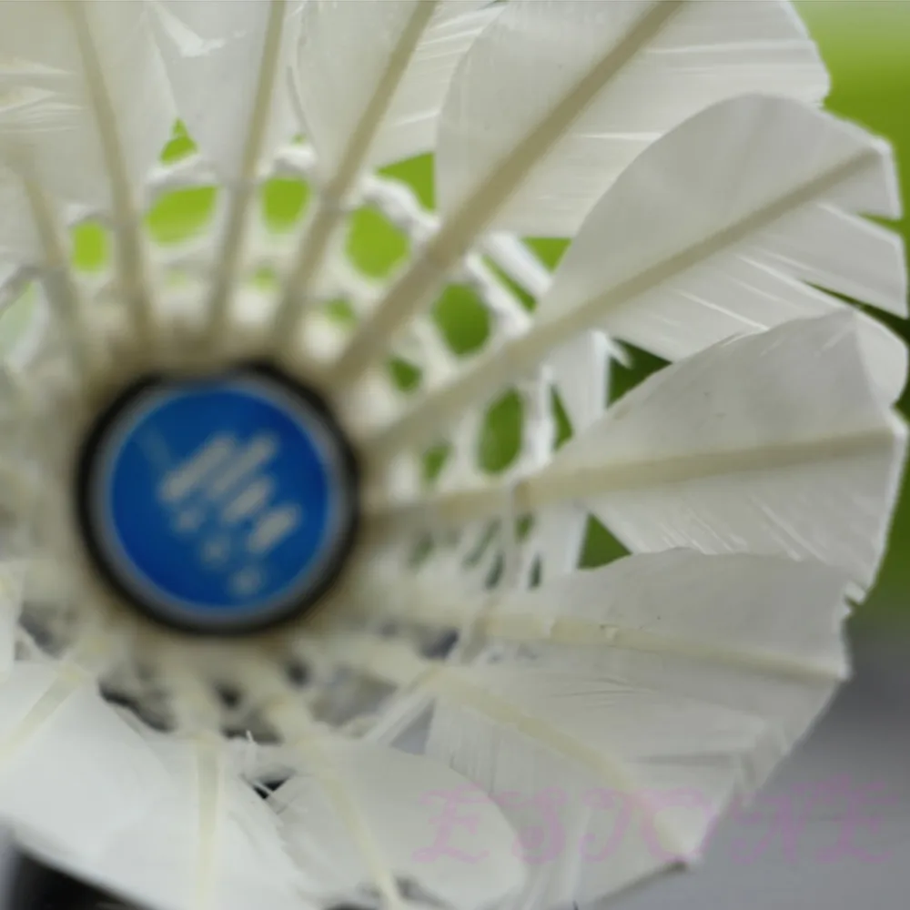 

12X Training Sports White Goose Feather Birdies Ball Game Shuttlecocks Badminton Dropshipping