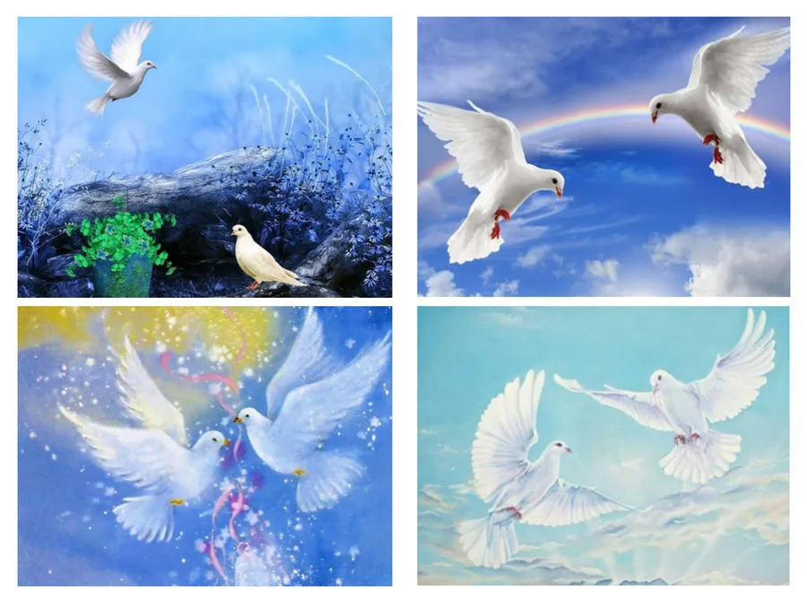 5D алмазная живопись сделай сам животные голубь Вышивка крестиком украшение для