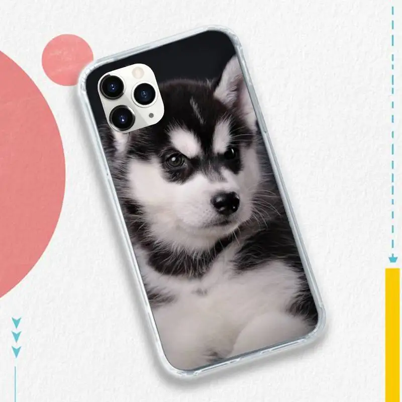 

Husky funny animal mobile Phone Case for iPhone 11 12 pro XS MAX 8 7 6 6S Plus X 5S SE 2020 XR