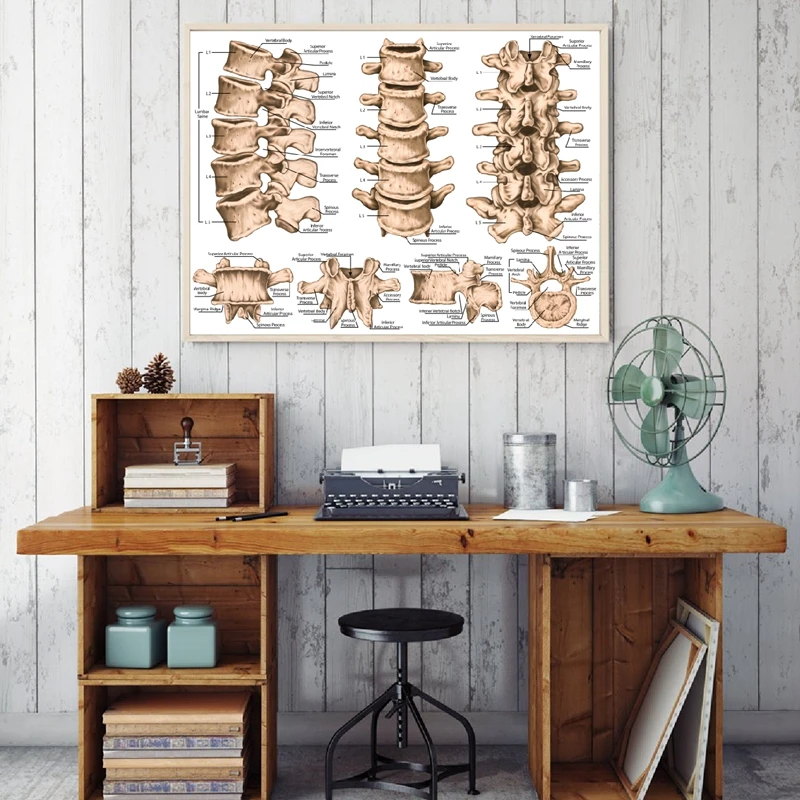 

Lumbar Spine Structure Chart Prints Medicine Educational Poster Human Skeletal System Doctor Office Wall Decor