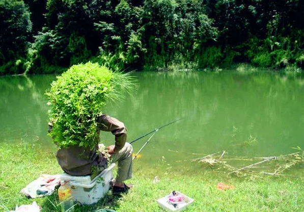 

2016 SHIMANO STRADIC CI4+ C2000S C2500S 2500HGS Shallow spool 1000H 2500HG C3000 C3000HG 4000 4000XG Spinning Fishing Reel