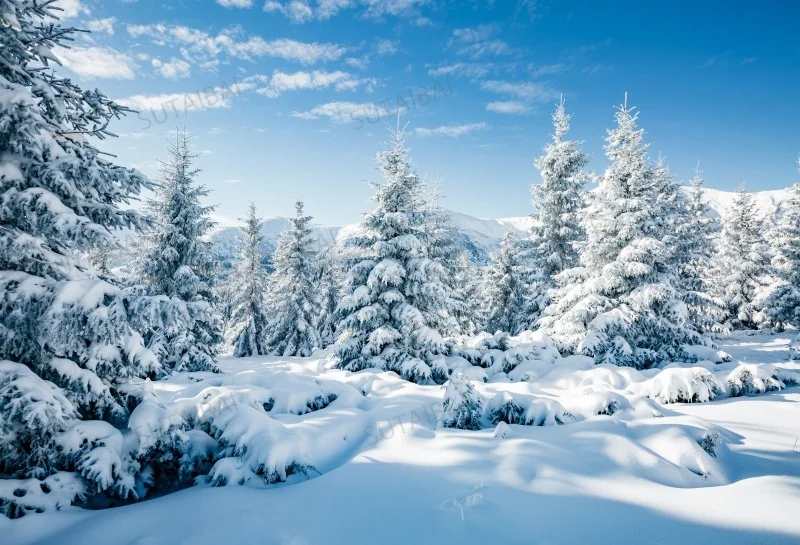 

Winter Wonderland Photography Backdrop Frozen Snow White Forest Mountain Landscape Background Baby Shower Birthday Party Decor