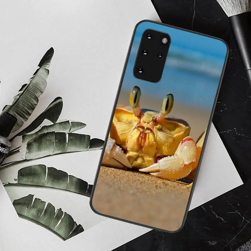 PENGHUWAN Прекрасный краб Новое поступление черный чехол для сотового телефона Samsung