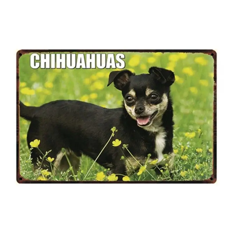 Жестяной металлический плакат с изображением собаки чихуахуа Чарли 20 х30 см | Дом