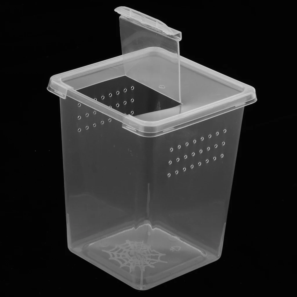 

Plastic Spider Insect Feeding Breeding Box Ventilated Transparent Habitat Cage