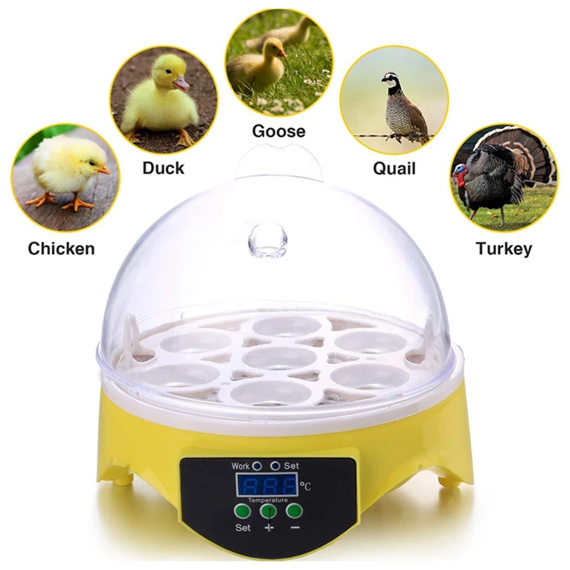 Mini 7 Egg Incubator Poultry Brooder Digital Temperature Hatchery Hatcher Chicken Bird US Plug | Дом и сад