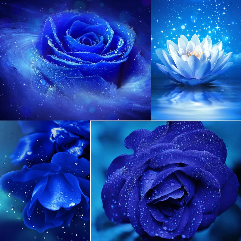 

Brand New 5D Diamond Painting Blue Rose Art Picture Cross Stitch Kit Full Drill Embroidery Living Room Decoration Gift