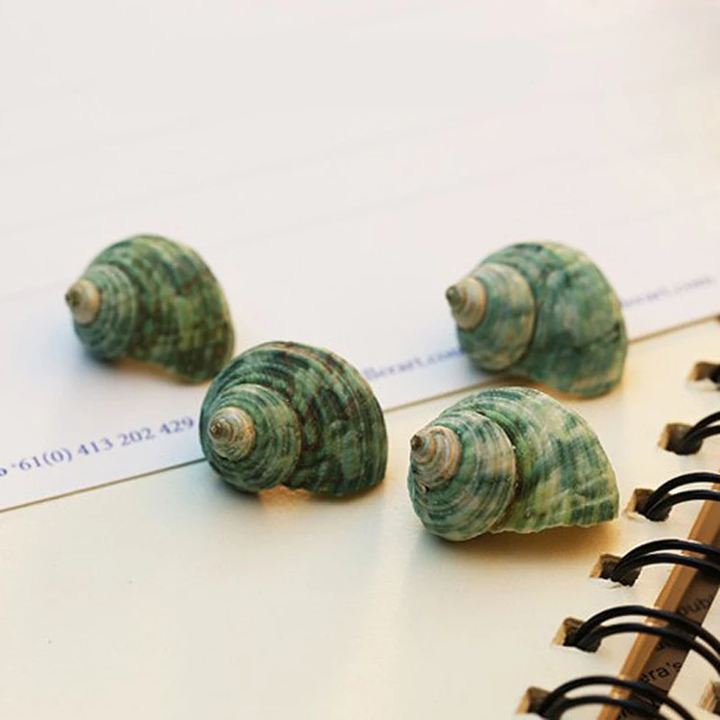 1 сумка смешанного океан ракушки пляж тема вечерние свадебные украшения из