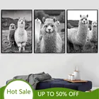 Плакаты WTQ с альпакой, животные, настенная Картина на холсте, принты для детской комнаты, домашний декор, картины, лама, черно-белая, украшение детской комнаты