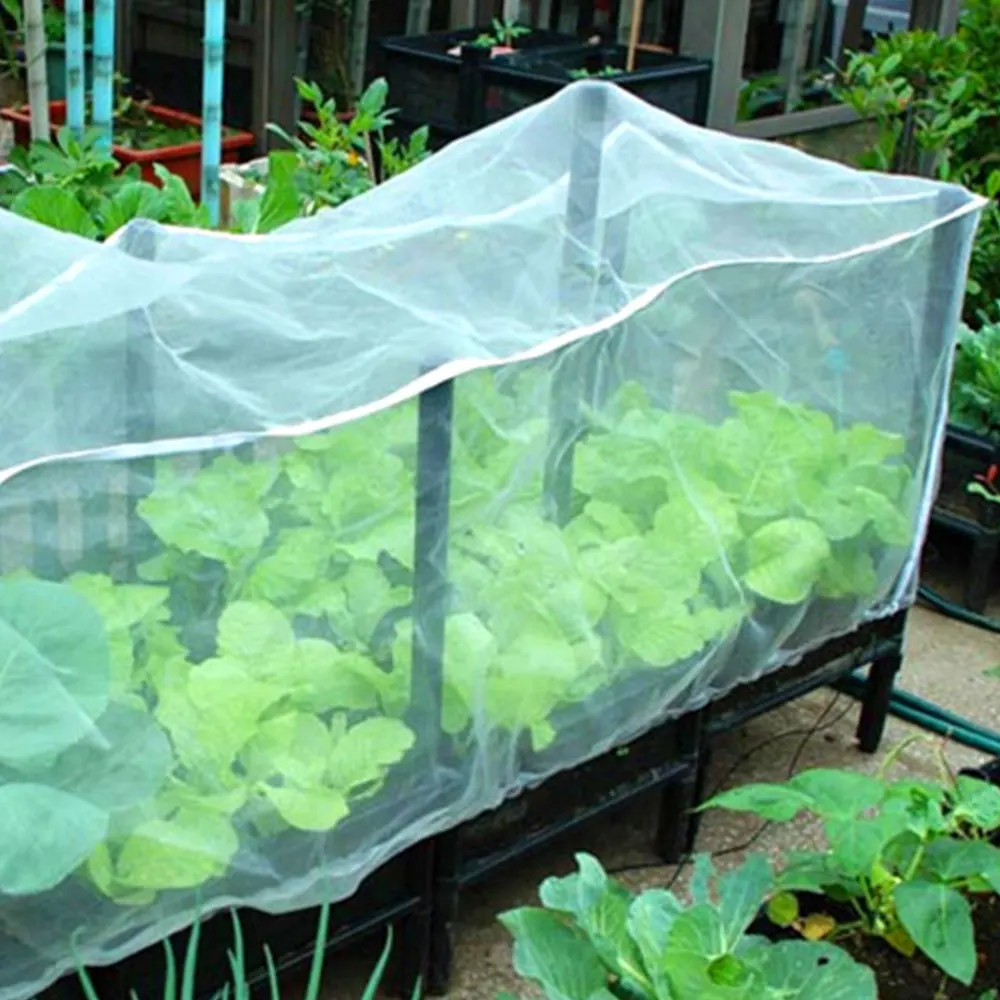 

2m*6m/2m*10m Greenhouse Plants Insect Bird Pest Control Net Vegetable Fruit Flowers Protection Garden Anti-bird Mesh Netting
