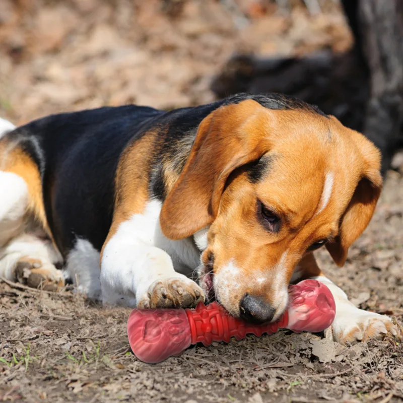 

Товары для домашних животных, нейлоновый молярный стержень, резиновая Интерактивная жевательная игрушка для собак с защитой от укусов, нов...
