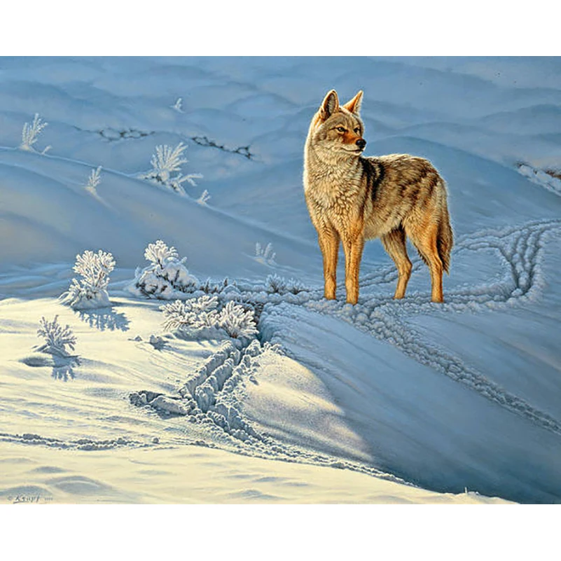 

DIY Painting By Numbers Coyote God's Dog Kit Oil Picture By Numbers Animals Wall Art Painting on Canvas Home Decoration Gift