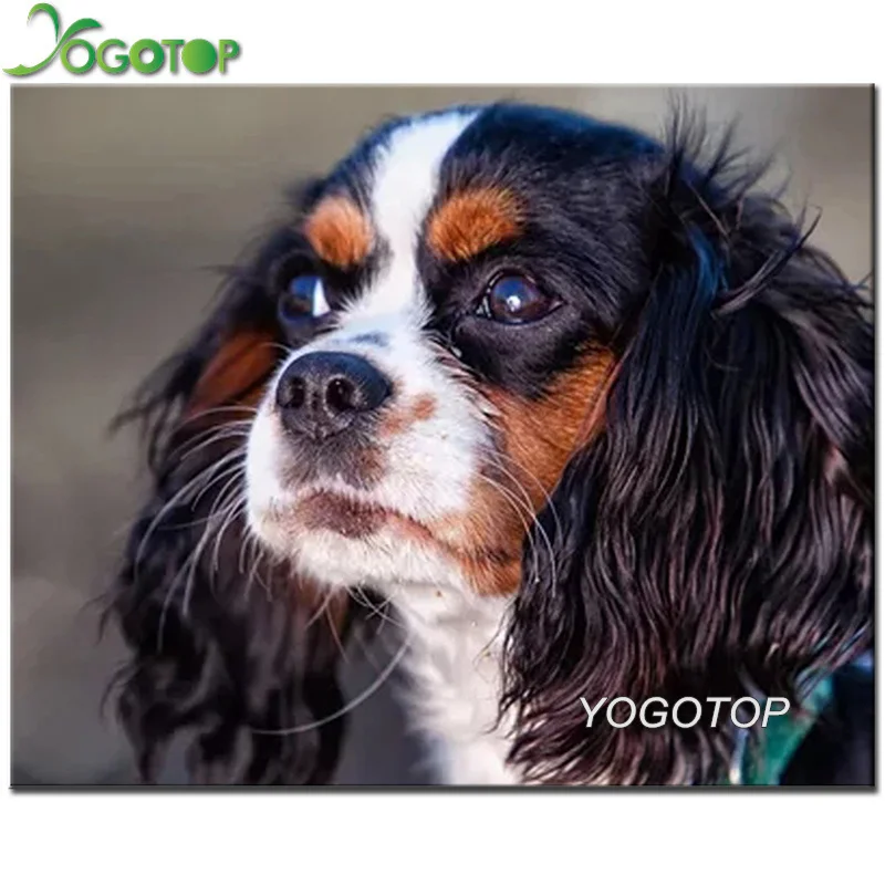 Полная выкладка Diy алмазная живопись держатель-Французский бульдог Чарльз