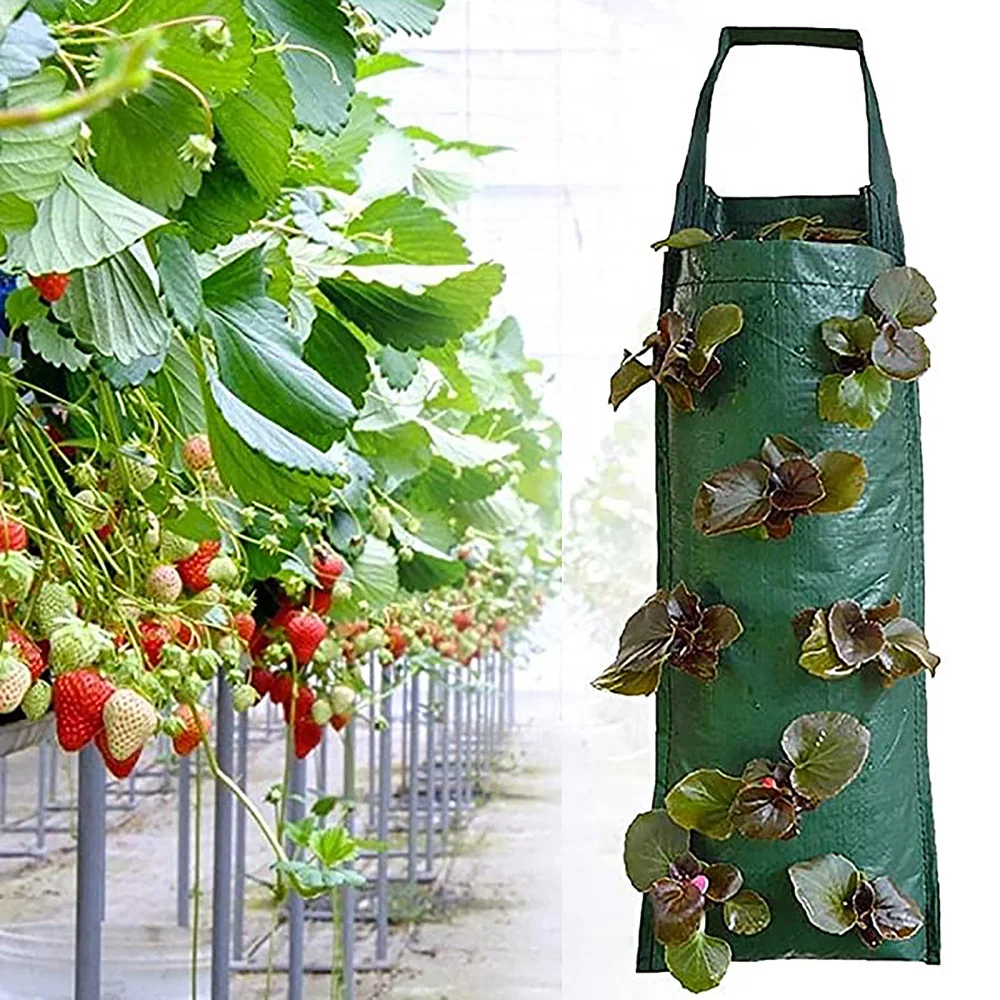 

PE Vertical Gardening Tool Non-Woven Plant Grow Bags Plant Hanging Durable Container Green Seedling Grow Bags Garden Supplies