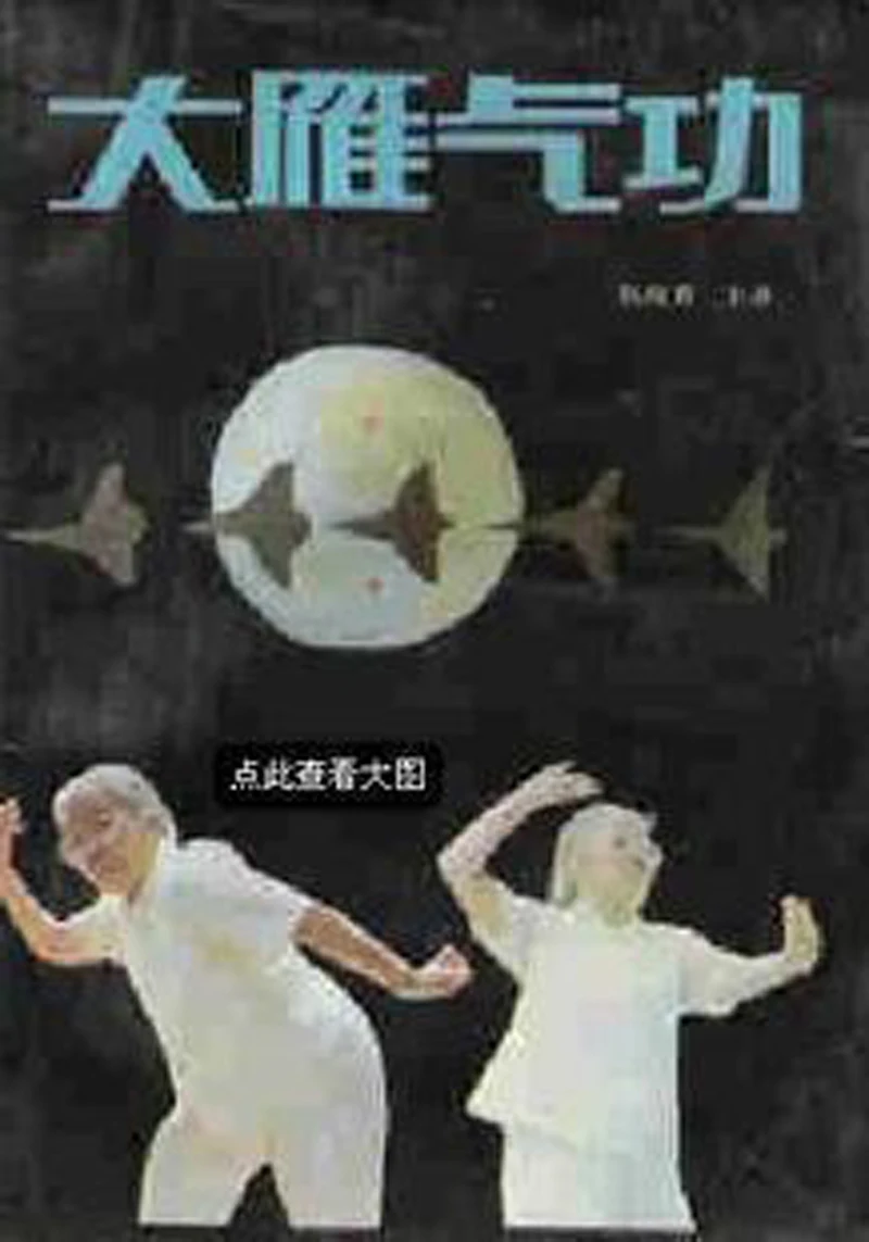 

Da Yan Qi Gong Chinese Kung Fu wushu Book