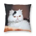 Симпатичная Подушка с принтом персидской кошки, искусственная подушка для гостиной с двусторонним принтом