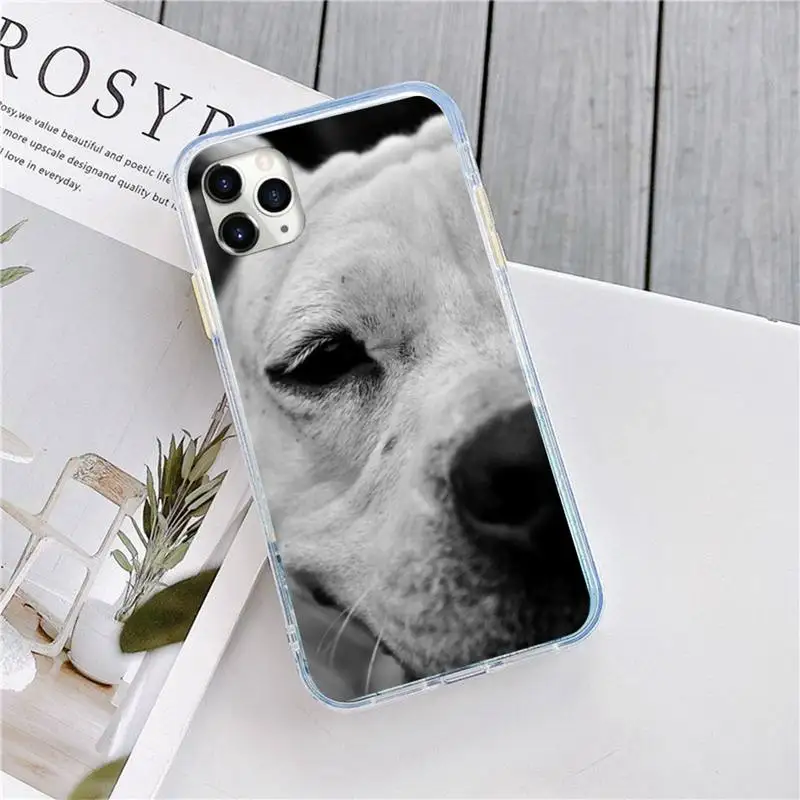 

Pit Bull cute Pet Dog Pitbull Phone Case for iPhone 11 12 pro XS MAX 8 7 6 6S Plus X 5S SE 2020 XR luxury design cover coque