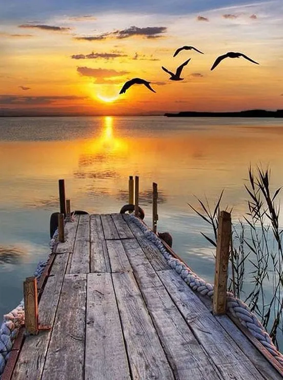 

Div 5D закат море пляж океан дерево Чайка полная Алмазная краска ing крестиком наборы художественная живописная 3D краска бриллиантами